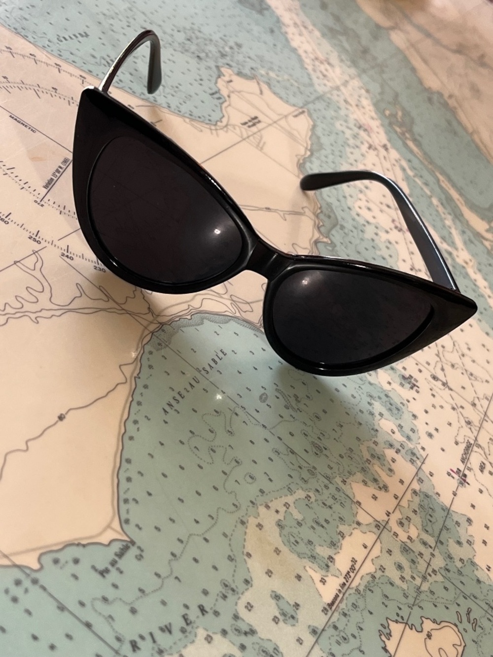 Vintage Black Acrylic Cat's Eye Sunglasses
